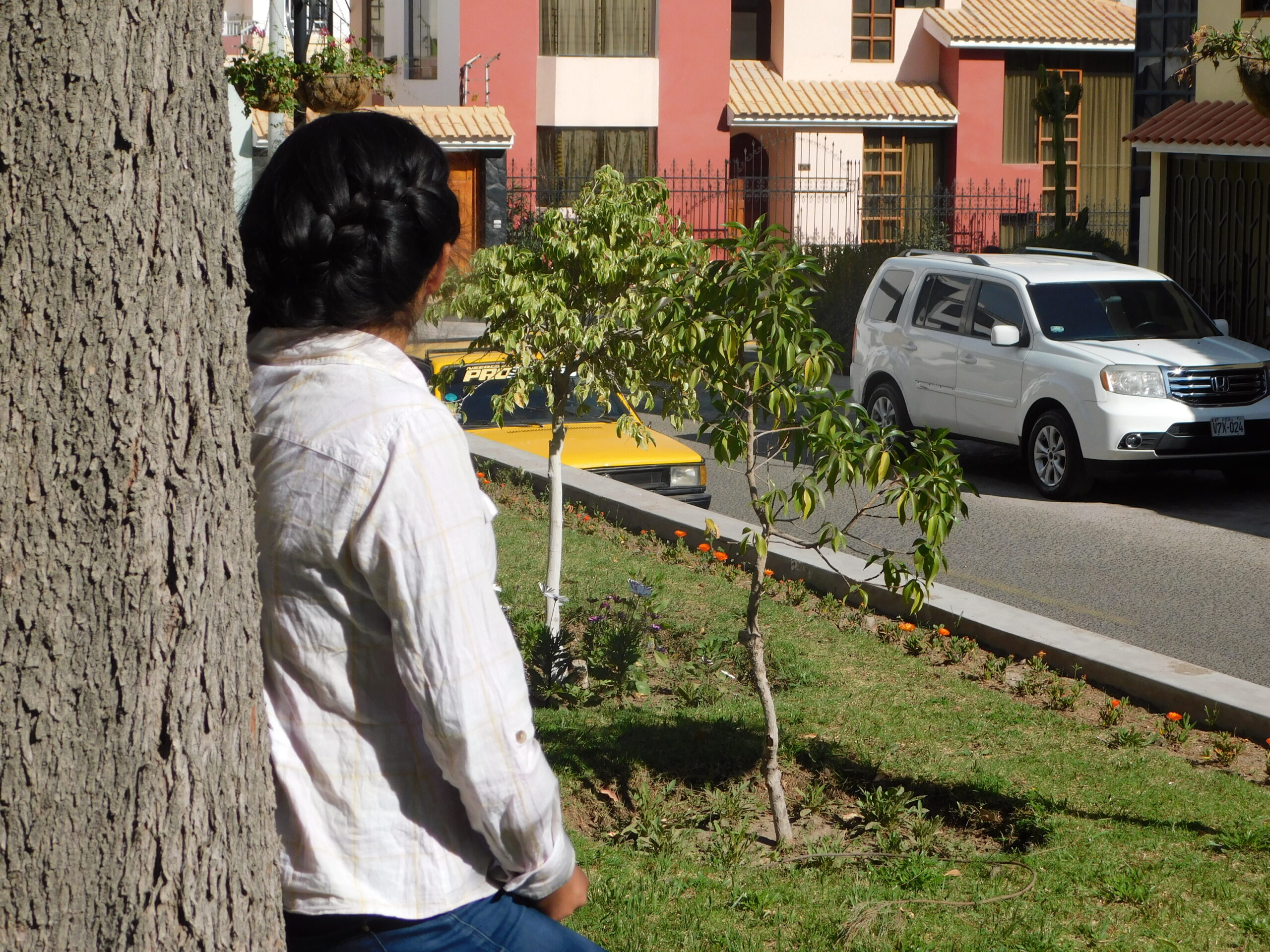 The home building in Arequipa
